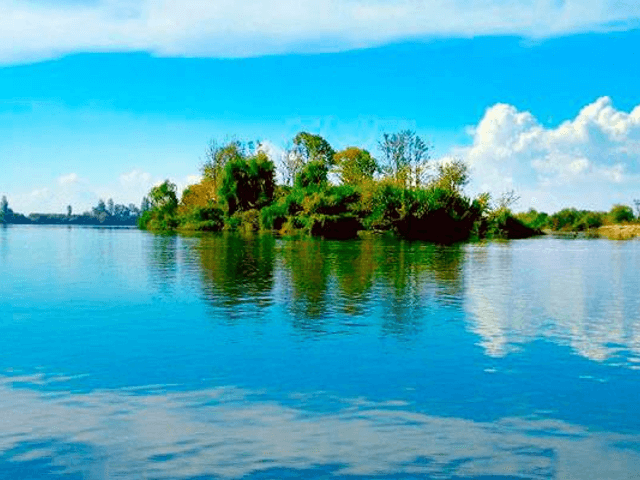 Passeio no Tejo, Caminhada e visita à Falcoaria Real